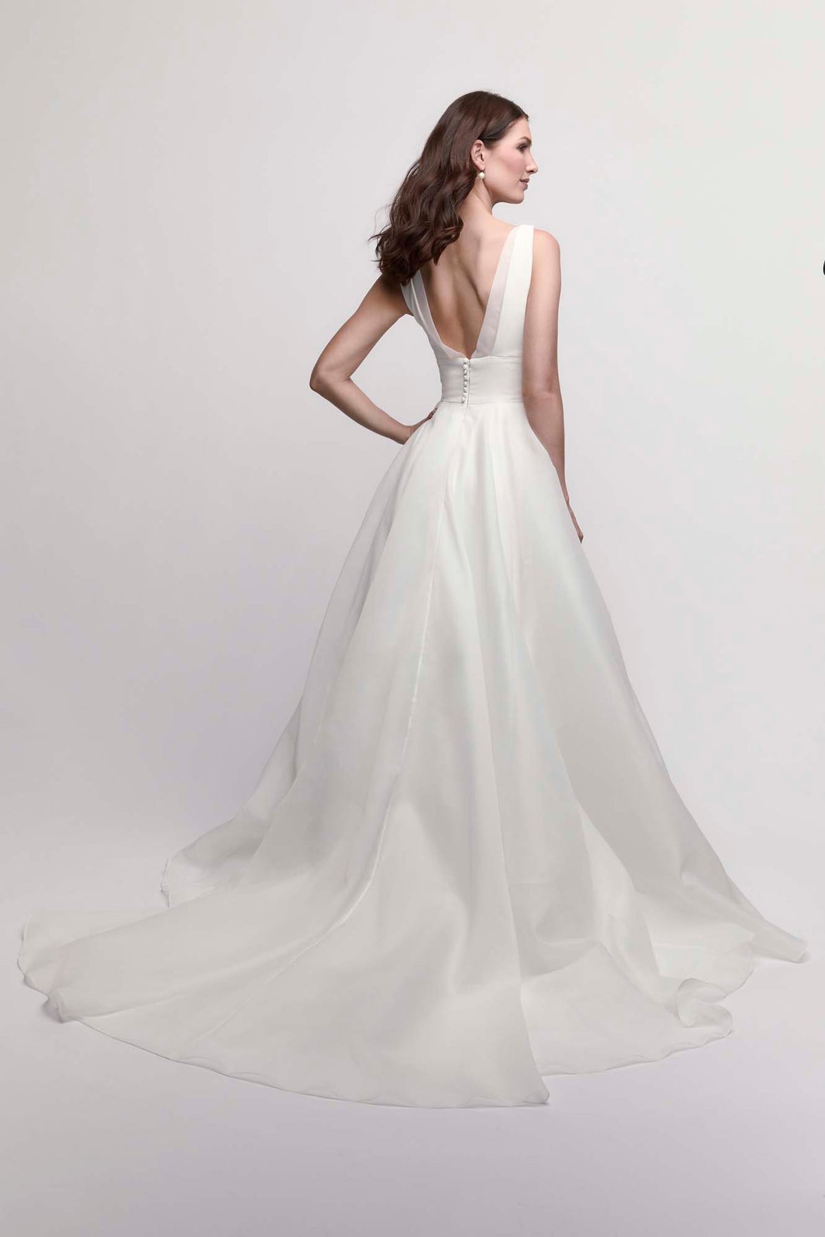 Begonia