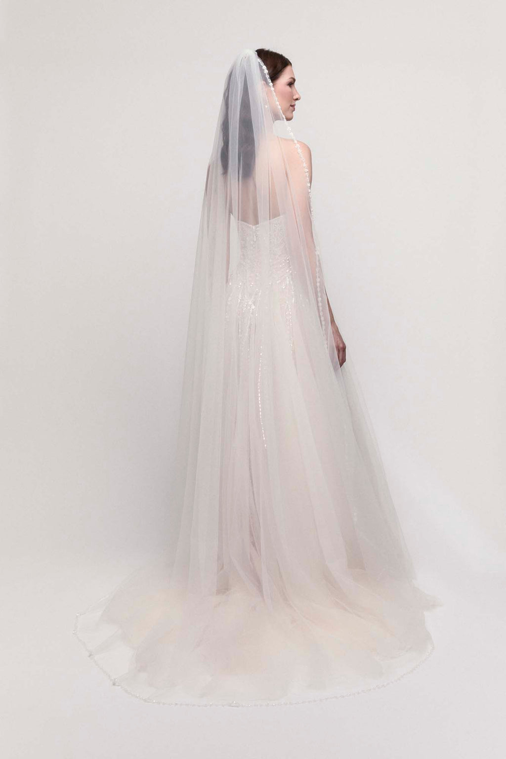Arista Veil